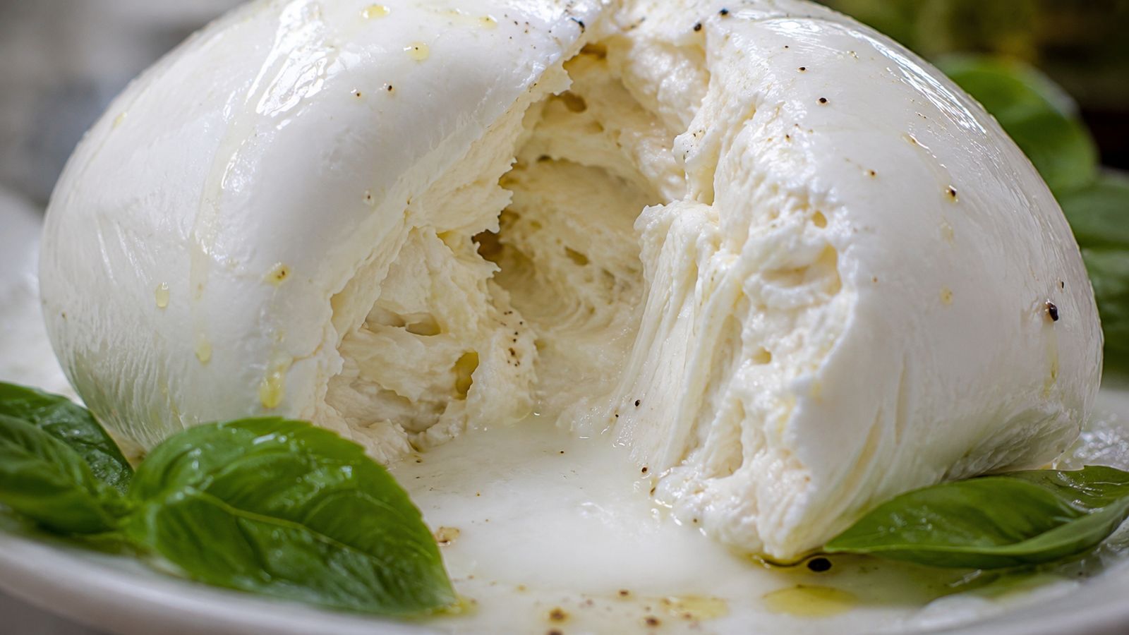 Mozzarella di Bufala Campana DOP