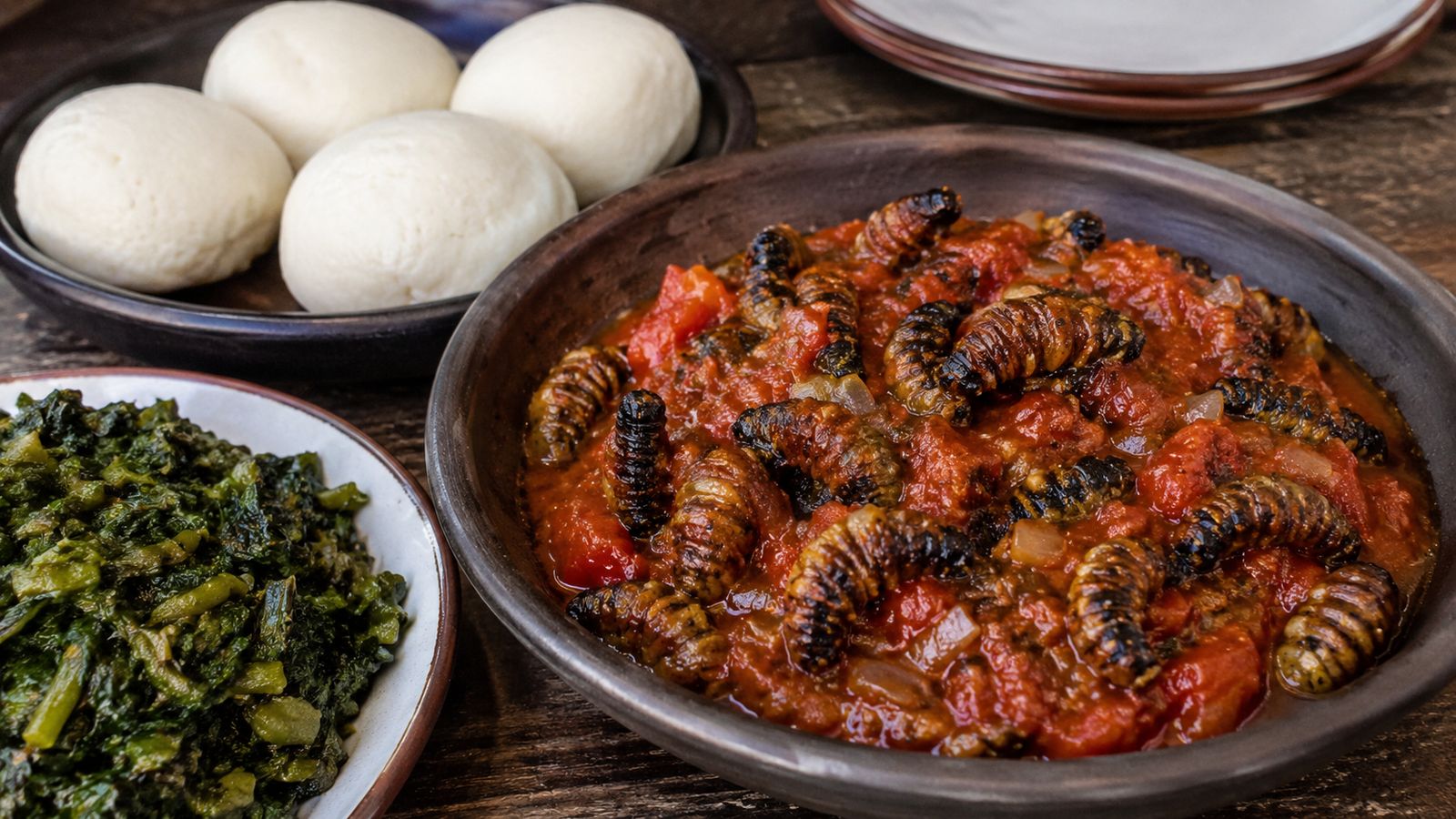 Madora (chenilles mopane séchées zimbabwéennes)